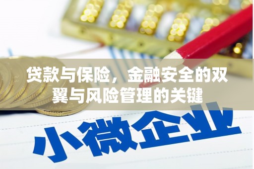 凉山贷款与保险，金融安全的双翼与风险管理的关键