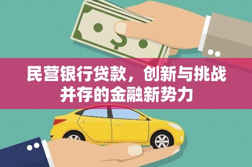 凉山民营银行贷款，创新与挑战并存的金融新势力