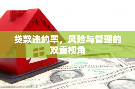 凉山贷款违约率，风险与管理的双重视角