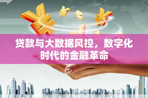凉山贷款与大数据风控，数字化时代的金融革命
