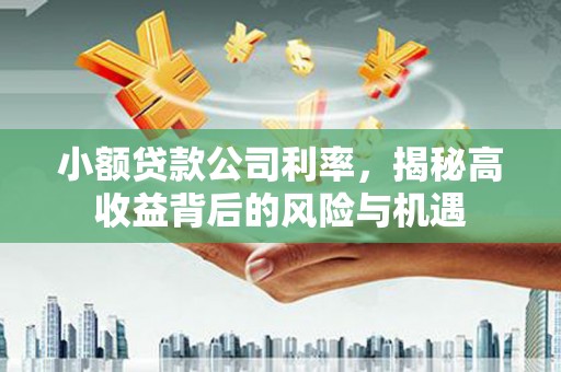 凉山小额贷款公司利率，揭秘高收益背后的风险与机遇