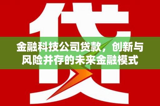 凉山金融科技公司贷款，创新与风险并存的未来金融模式
