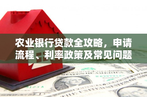 凉山农业银行贷款全攻略，申请流程、利率政策及常见问题解析