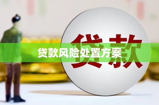 凉山贷款风险处置方案
