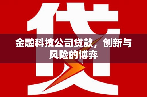 凉山金融科技公司贷款，创新与风险的博弈