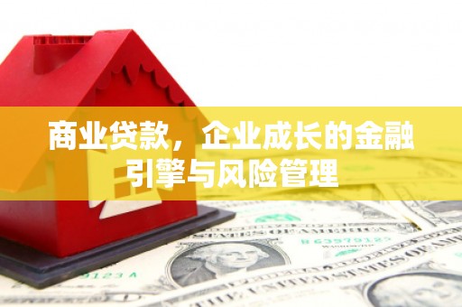 凉山商业贷款，企业成长的金融引擎与风险管理