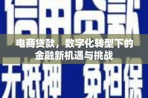 凉山电商贷款，数字化转型下的金融新机遇与挑战