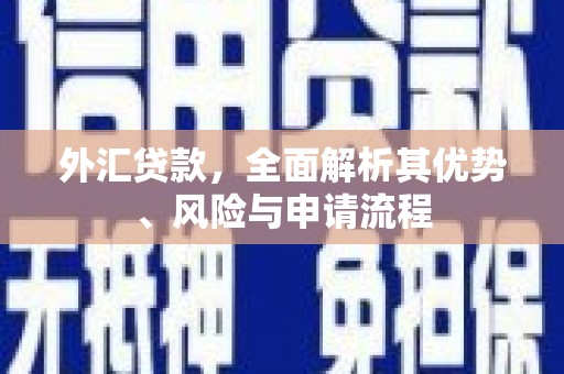 凉山外汇贷款，全面解析其优势、风险与申请流程