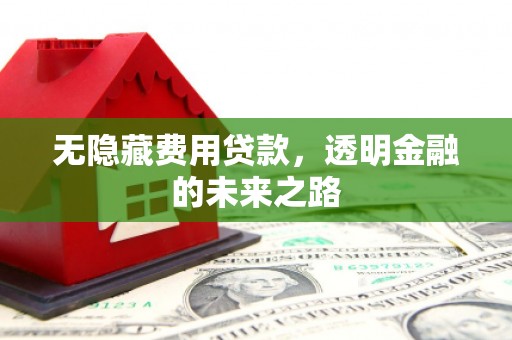 凉山无隐藏费用贷款，透明金融的未来之路