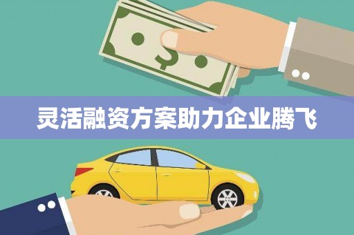 凉山灵活融资方案助力企业腾飞