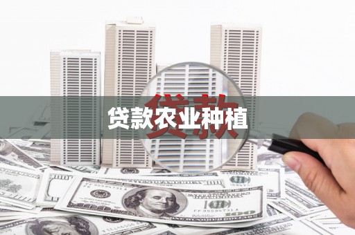 凉山贷款农业种植