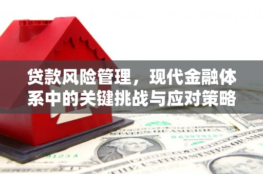 凉山贷款风险管理，现代金融体系中的关键挑战与应对策略