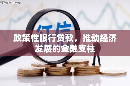 凉山政策性银行贷款，推动经济发展的金融支柱