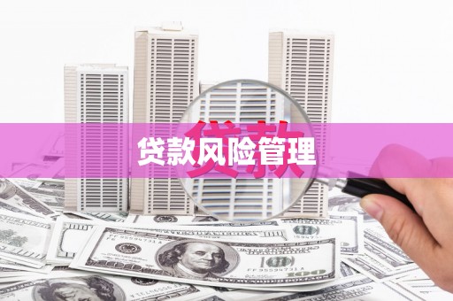凉山贷款风险管理