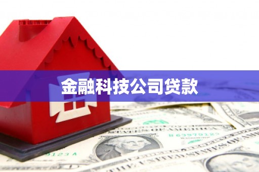 凉山金融科技公司贷款
