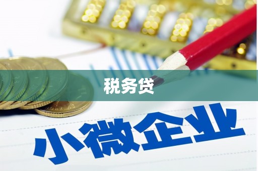 凉山税务贷