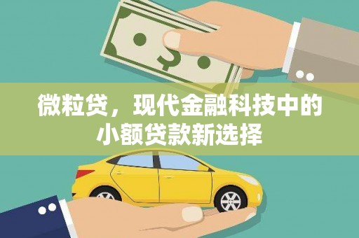 凉山微粒贷，现代金融科技中的小额贷款新选择