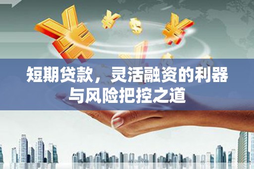 凉山短期贷款，灵活融资的利器与风险把控之道