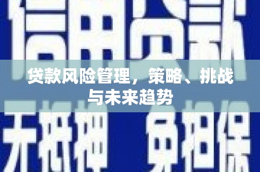 凉山贷款风险管理，策略、挑战与未来趋势