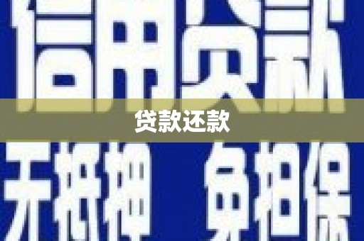 凉山贷款还款