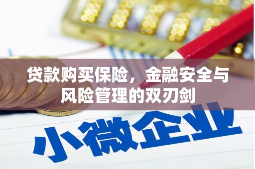 凉山贷款购买保险，金融安全与风险管理的双刃剑