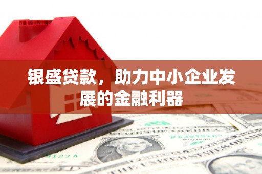 凉山银盛贷款，助力中小企业发展的金融利器