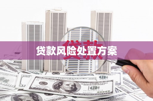 凉山贷款风险处置方案