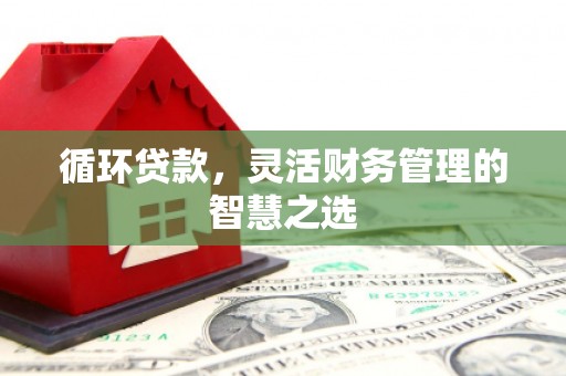 凉山循环贷款，灵活财务管理的智慧之选