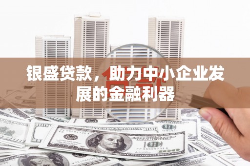 凉山银盛贷款，助力中小企业发展的金融利器