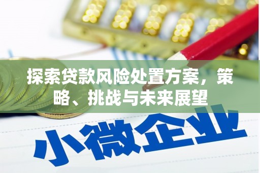 凉山探索贷款风险处置方案，策略、挑战与未来展望