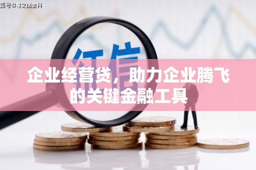 凉山企业经营贷，助力企业腾飞的关键金融工具