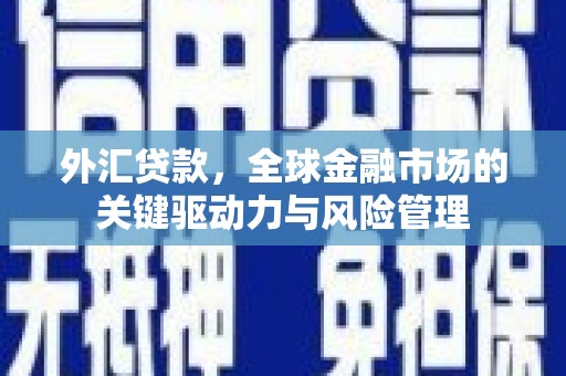 凉山外汇贷款，全球金融市场的关键驱动力与风险管理