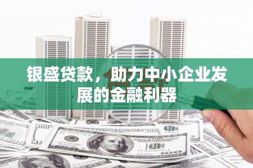 凉山银盛贷款，助力中小企业发展的金融利器