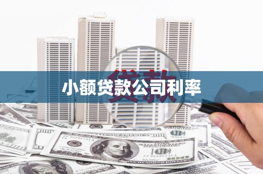 凉山小额贷款公司利率