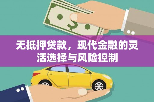 凉山无抵押贷款，现代金融的灵活选择与风险控制
