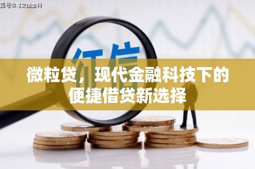 凉山微粒贷，现代金融科技下的便捷借贷新选择
