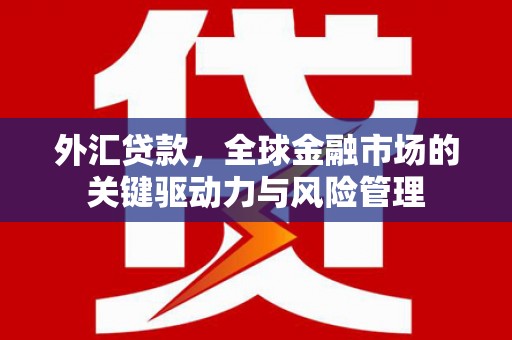 凉山外汇贷款，全球金融市场的关键驱动力与风险管理