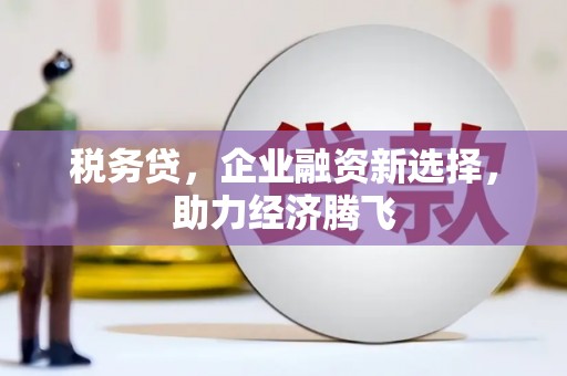 凉山税务贷，企业融资新选择，助力经济腾飞