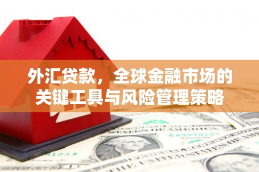 凉山外汇贷款，全球金融市场的关键工具与风险管理策略