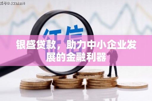 凉山银盛贷款，助力中小企业发展的金融利器