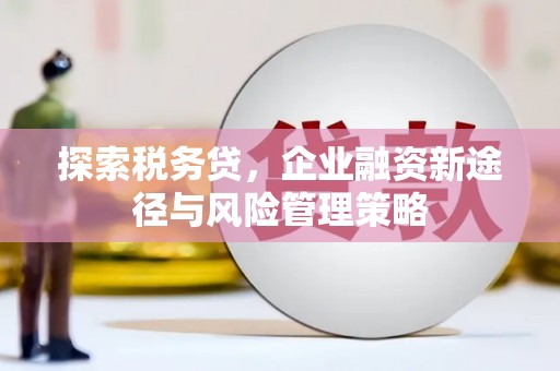 凉山探索税务贷，企业融资新途径与风险管理策略