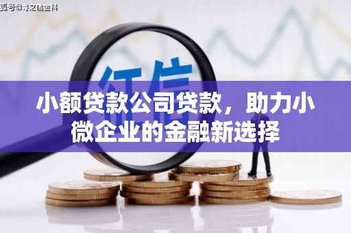 凉山小额贷款公司贷款，助力小微企业的金融新选择