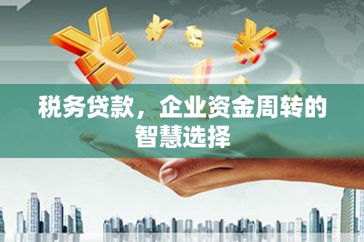 凉山税务贷款，企业资金周转的智慧选择