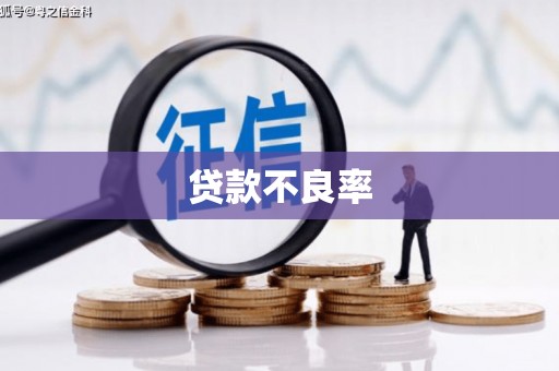 凉山贷款不良率