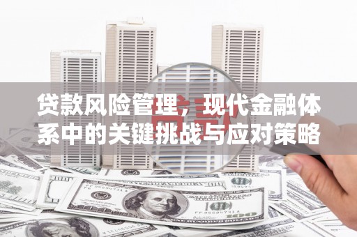 凉山贷款风险管理，现代金融体系中的关键挑战与应对策略