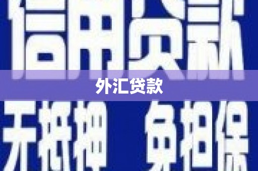 凉山外汇贷款