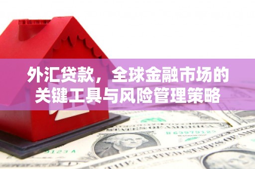 凉山外汇贷款，全球金融市场的关键工具与风险管理策略