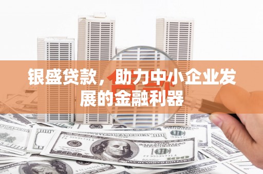 凉山银盛贷款，助力中小企业发展的金融利器