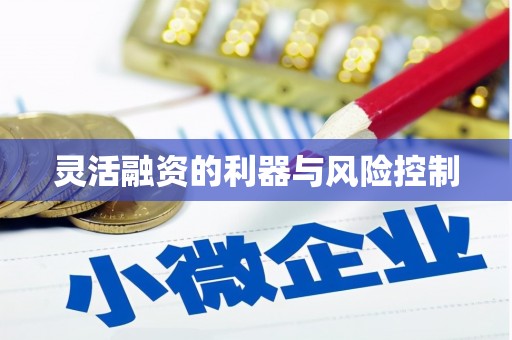凉山灵活融资的利器与风险控制