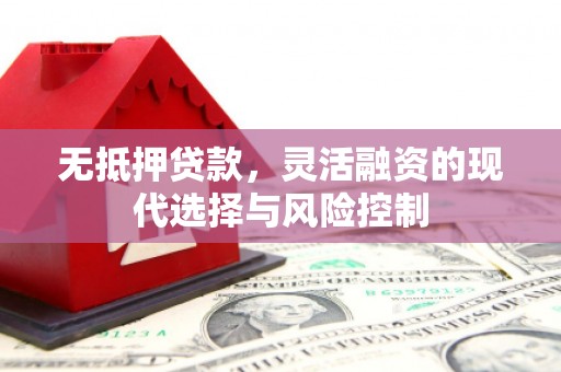 凉山无抵押贷款，灵活融资的现代选择与风险控制